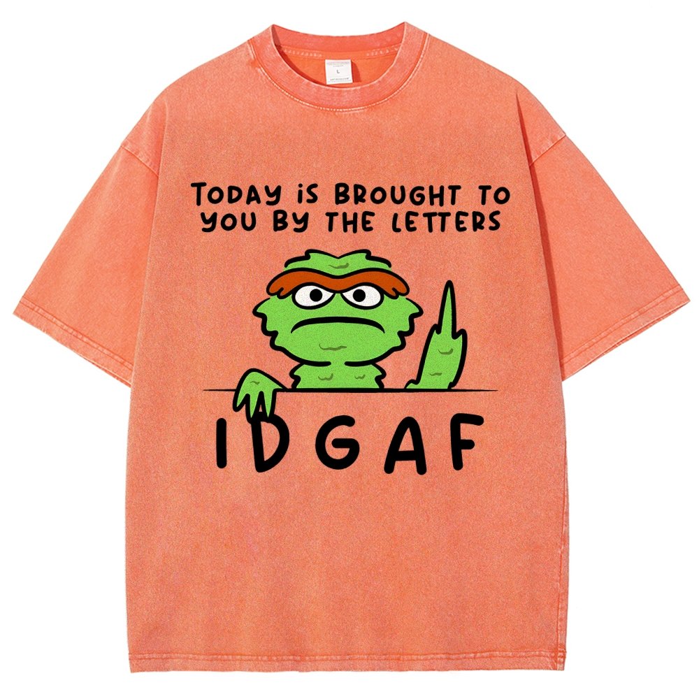 IDGAF Vintage Distressed T-shirt