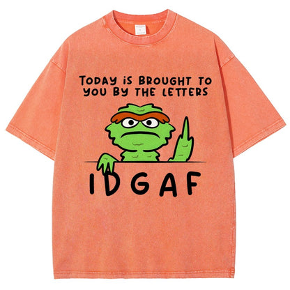 IDGAF Vintage Distressed T-shirt