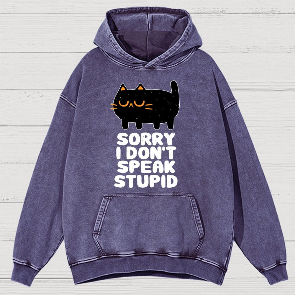 I Don't Speak Stupid Vintage Distressed Hoodie