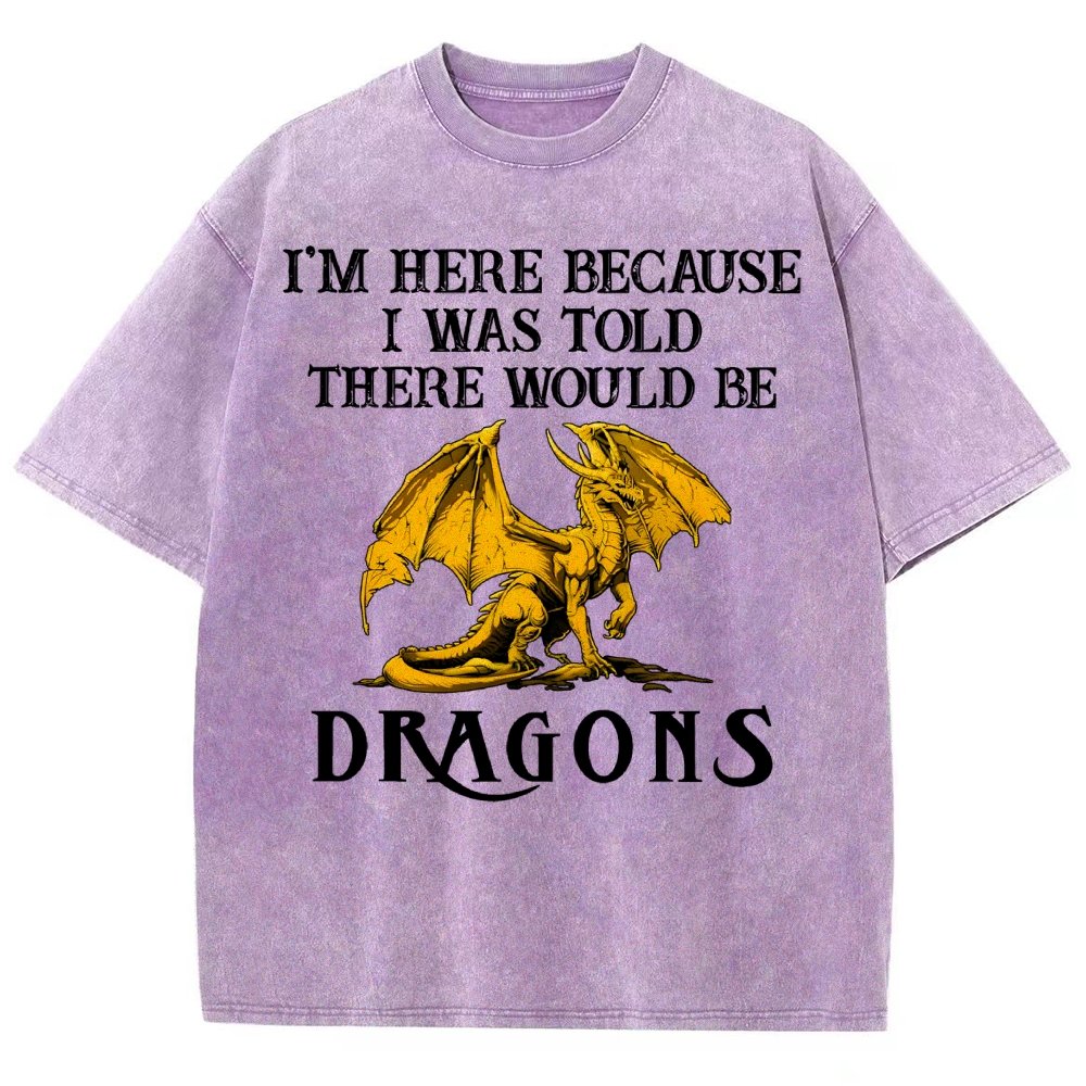 I'm Here Because I Was Told There Would Be Dragons Vintage Distressed T-shirt