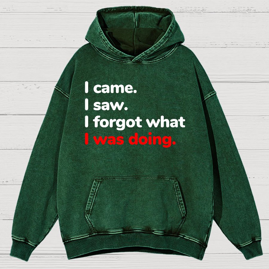 I Came. I Saw. I Forgot What I Was Doing Vintage Distressed Hoodie