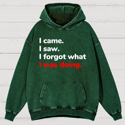 I Came. I Saw. I Forgot What I Was Doing Vintage Distressed Hoodie