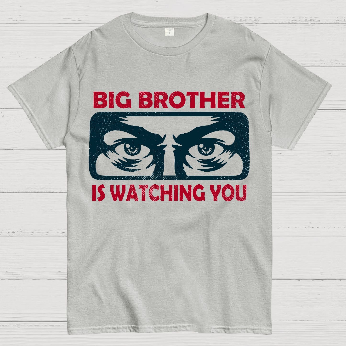 Ministry Of Truth Big Brother Is Watching You Sarcasm Geek T-Shirt