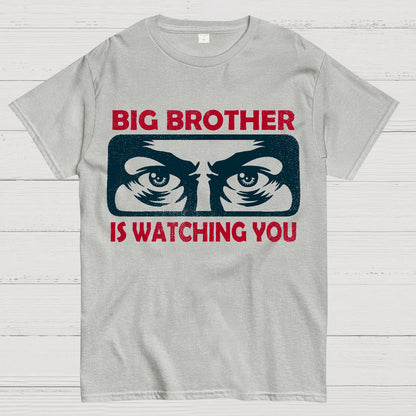 Ministry Of Truth Big Brother Is Watching You Sarcasm Geek T-Shirt