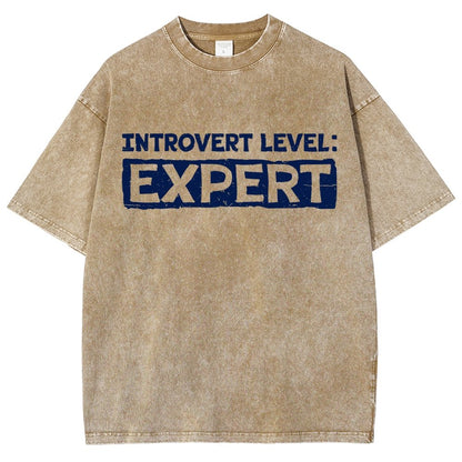 Introvert Level:Expert Vintage Distressed T-shirt