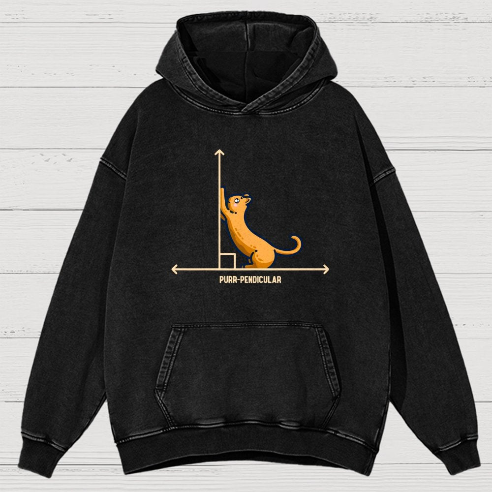 Purr-Pendicular Cute Maths Cat Premium Vintage Distressed Hoodie