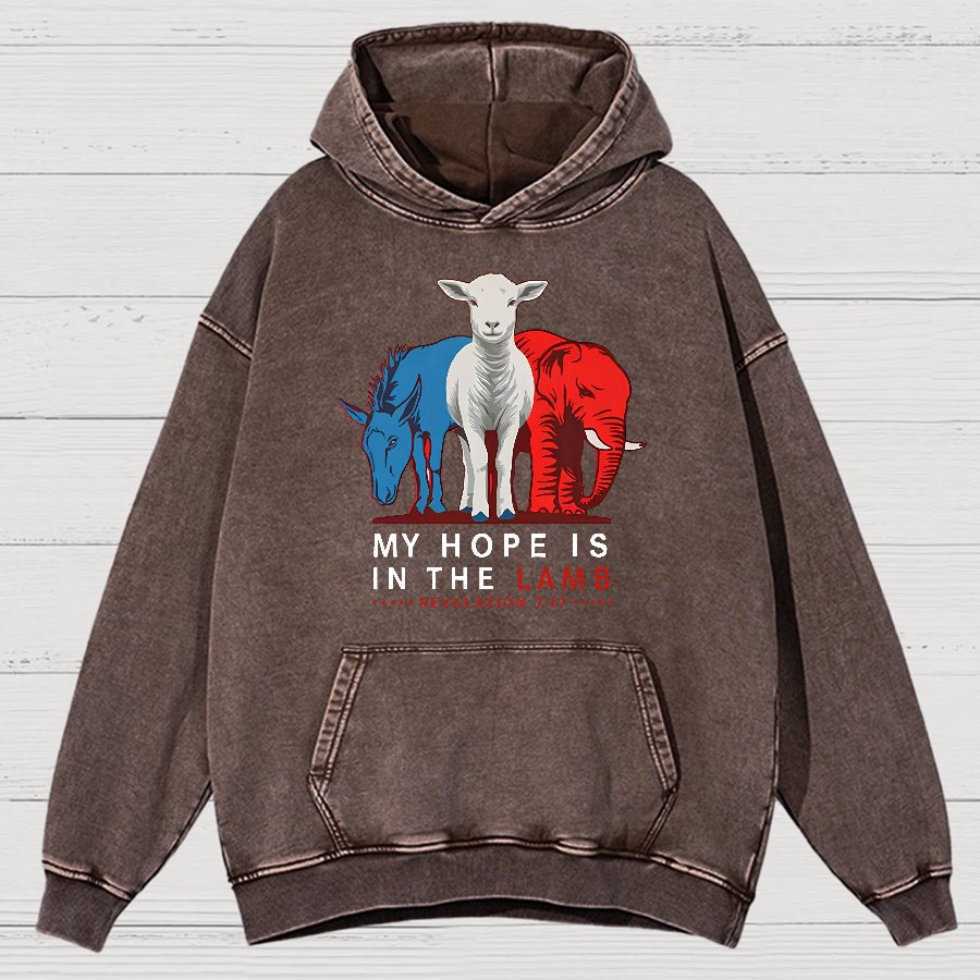 My Hope Is In The Lamb Vintage Distressed Hoodie