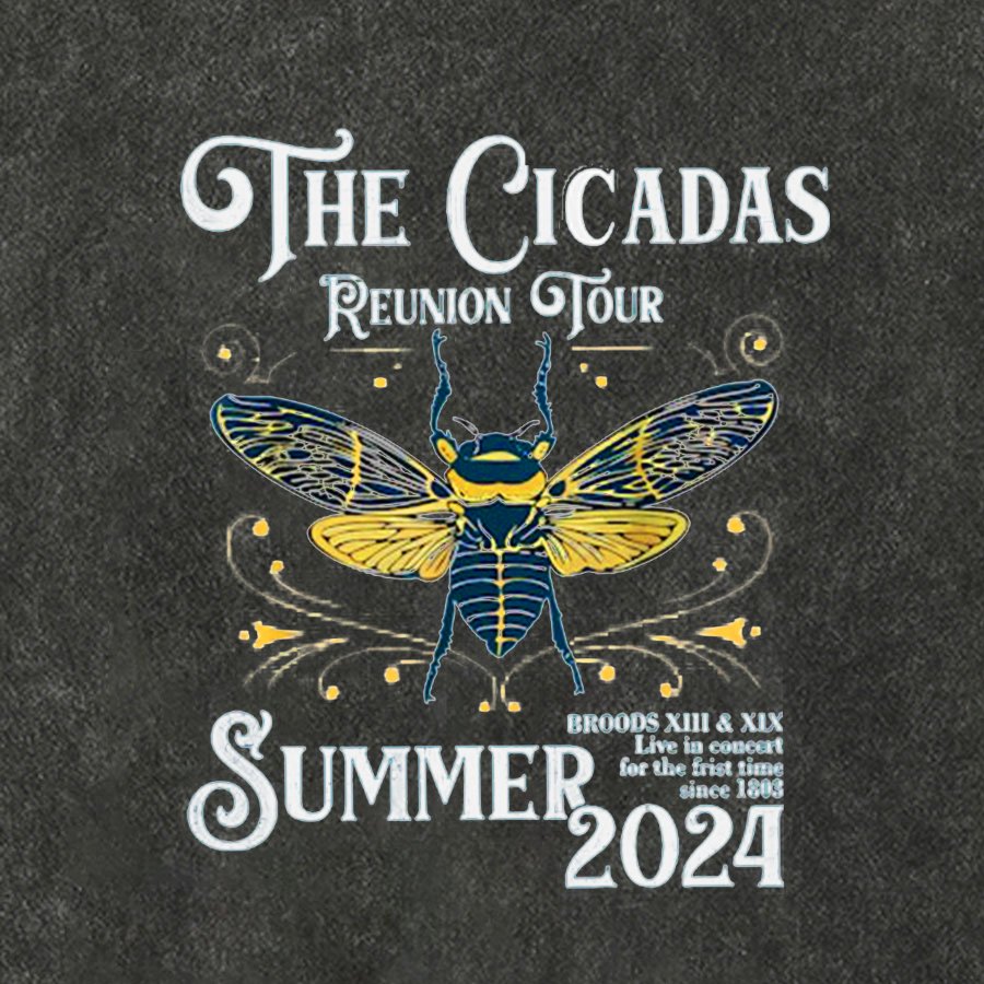 The Cicadas Reunion Tour Summer 2024 Cotton Hat
