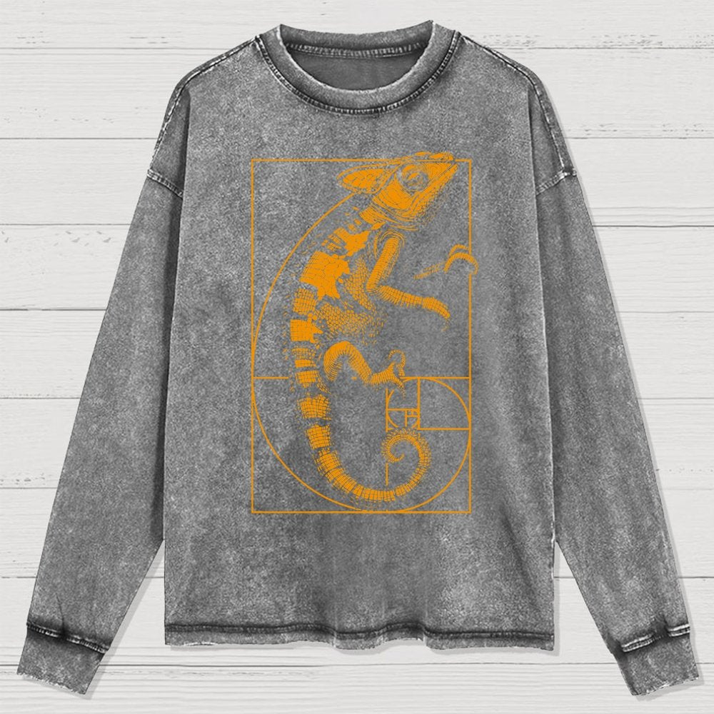 Chameleon Ratio Washed Long Sleeve Tee