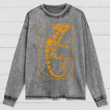 Chameleon Ratio Washed Long Sleeve Tee