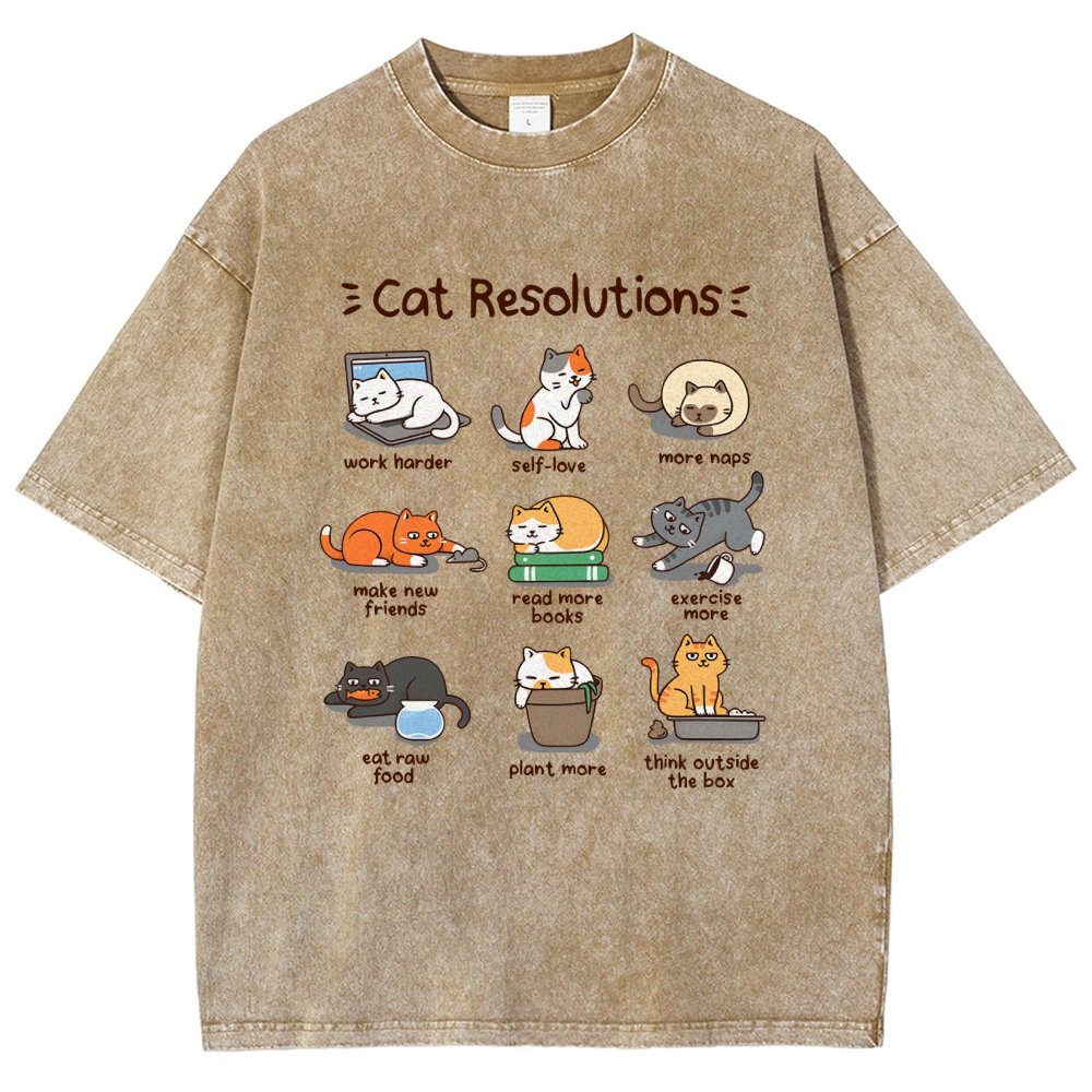 Cat Resolutions Vintage Distressed T-shirt
