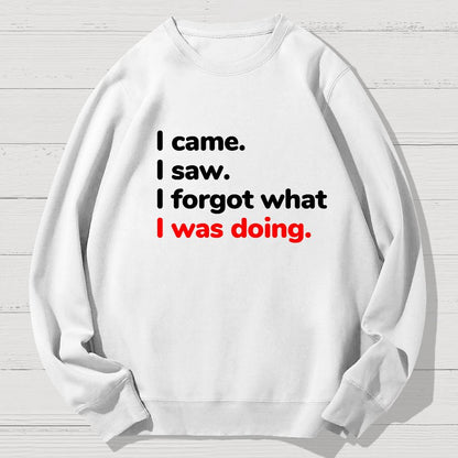 I Came. I Saw. I Forgot What I Was Doing Geek Cotton Sweatshirt