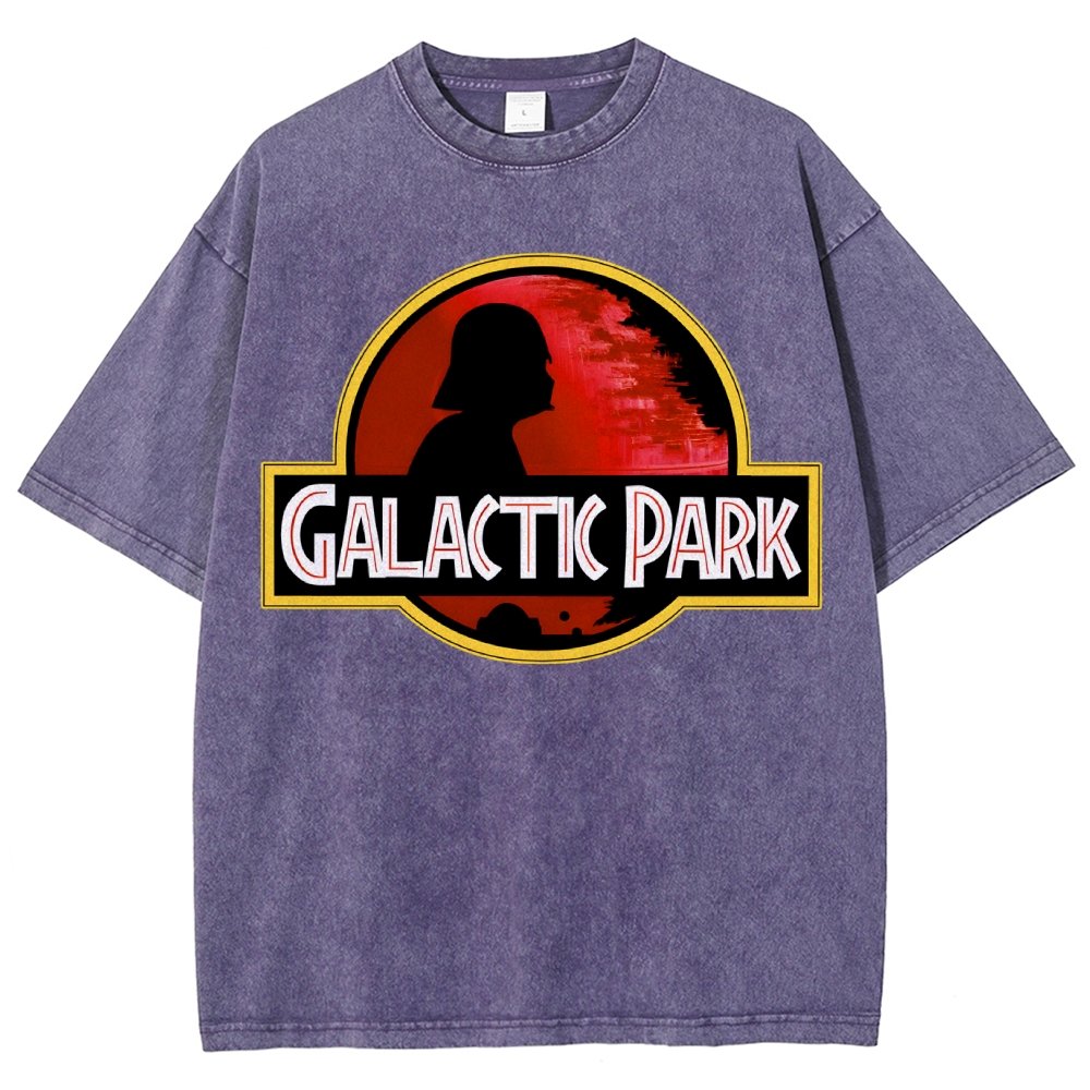 Cosmic Park Vintage Distressed T-shirt