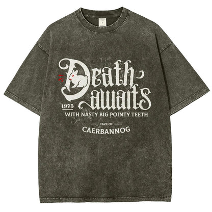 Death Awaits Vintage Distressed T-shirt