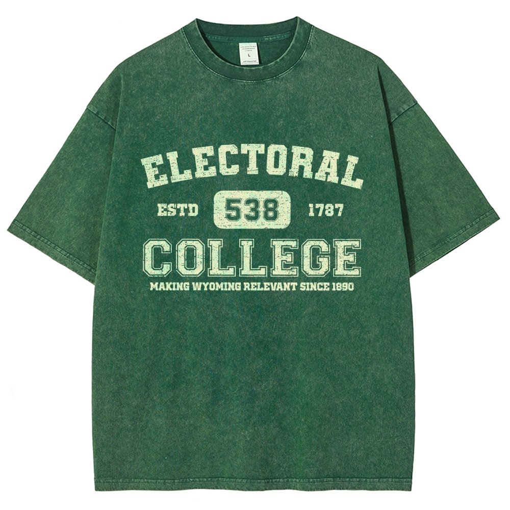 The Electoral College Vintage Distressed T-shirt
