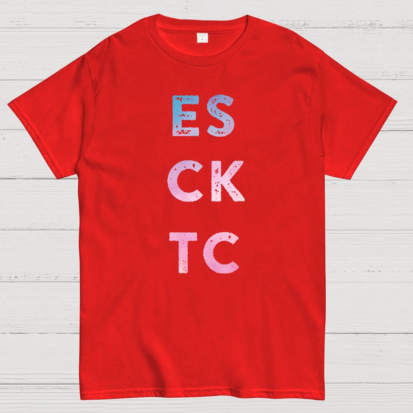 Best Friends Matching Geek T-Shirt