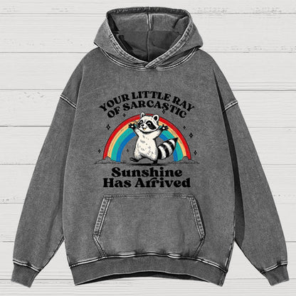 Your Little Ray of Sarcastic Sunshine Has Arrived Vintage Distressed Hoodie