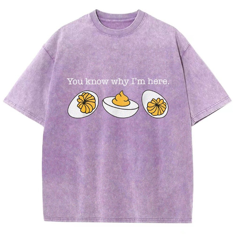 Retro You Know Why I'm Here Deviled Egg Vintage Distressed T-shirt