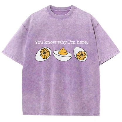 Retro You Know Why I'm Here Deviled Egg Vintage Distressed T-shirt