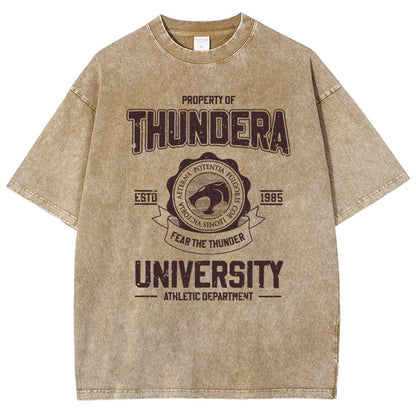 Mystic Valley University Vintage Distressed T-shirt