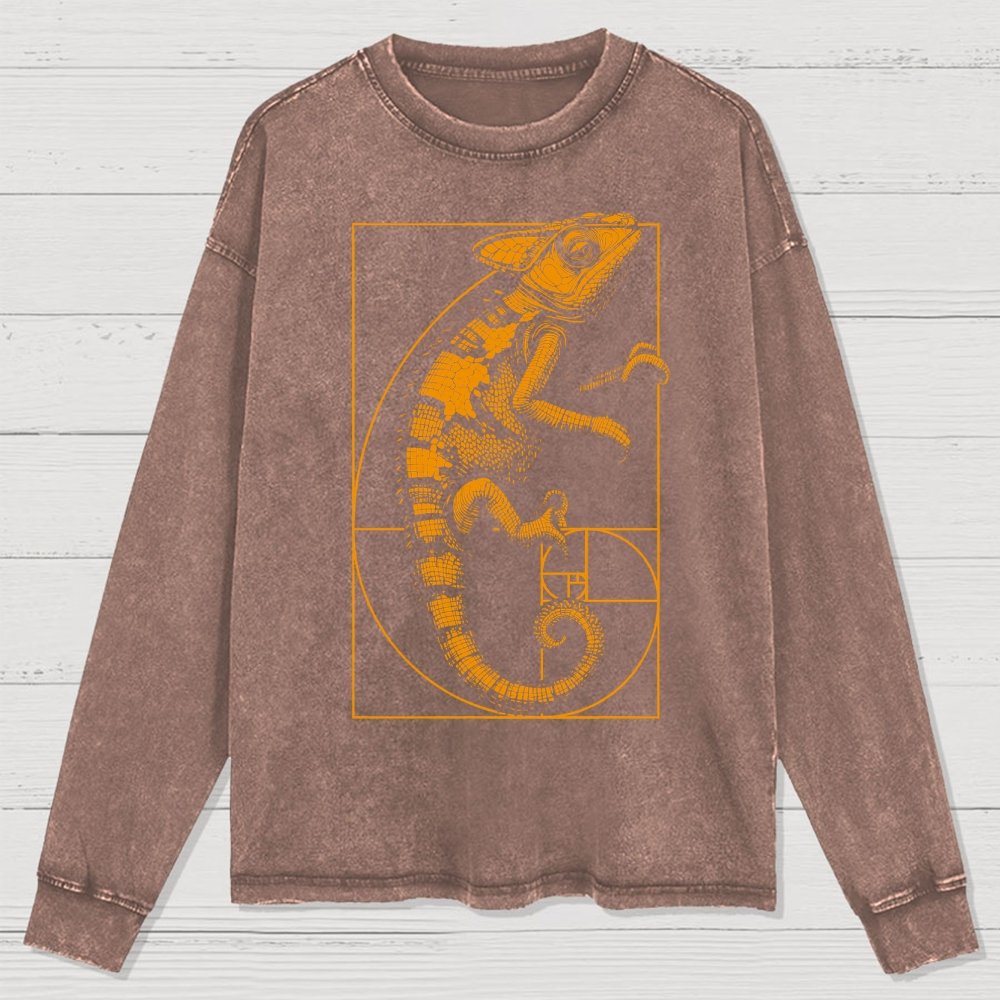 Chameleon Ratio Washed Long Sleeve Tee