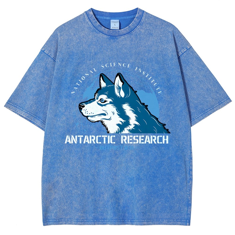 National Science Institute Outpost 31 Vintage Distressed T-shirt