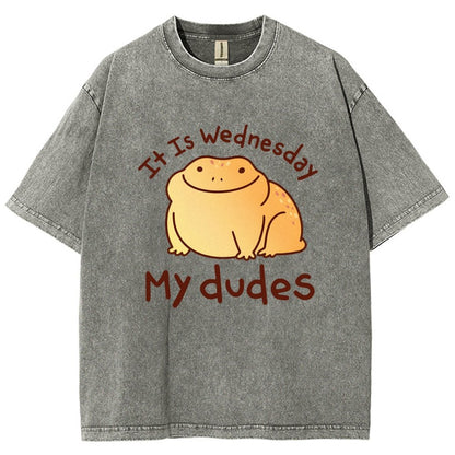 It's Wednesday My Dudes Vintage Distressed T-shirt