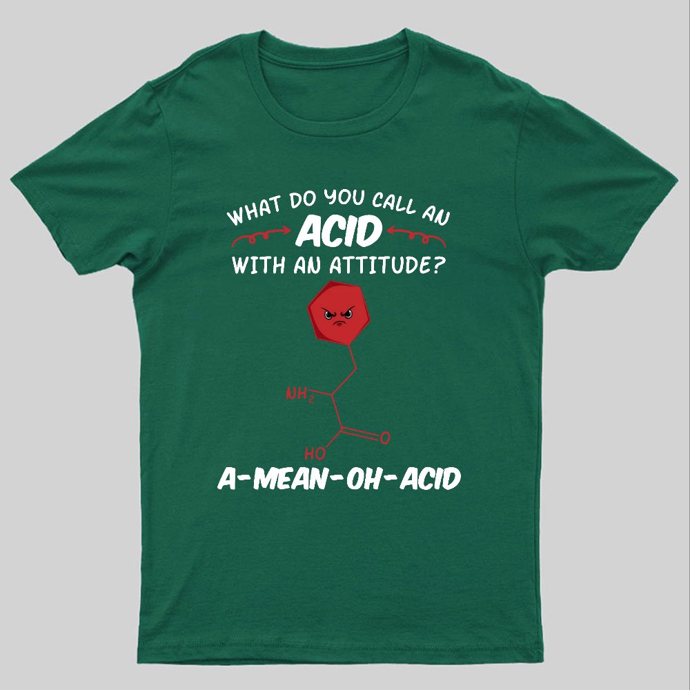 What Do You Call An ACID Geeky T-Shirt