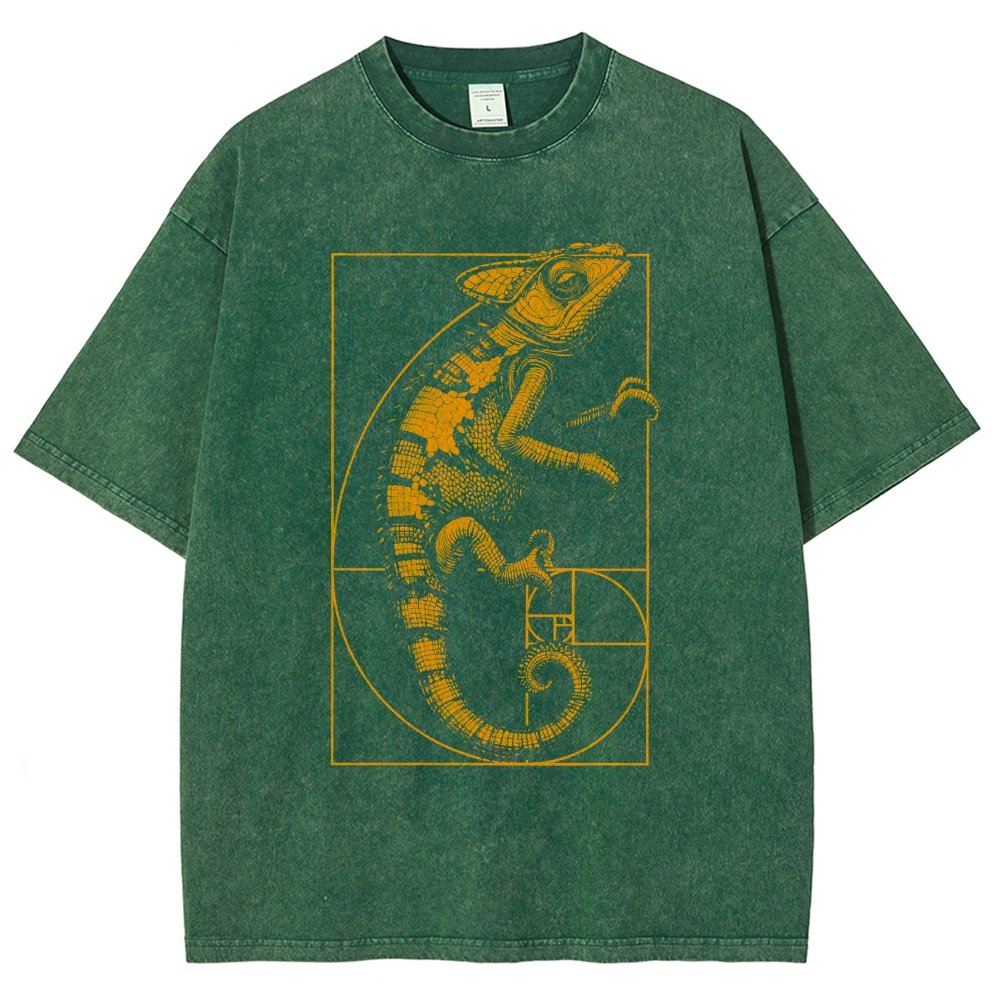Chameleon Ratio Vintage Distressed T-shirt