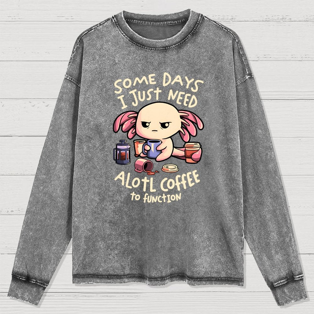 Alotl Coffee Washed Long Sleeve Tee