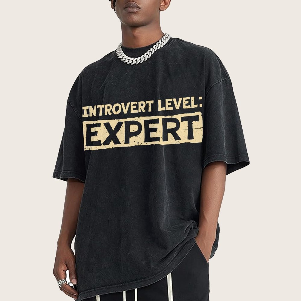 Introvert Level:Expert Vintage Distressed T-shirt