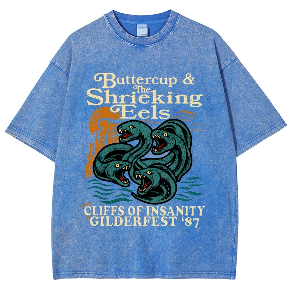 Buttercup & the Shrieking Eels at Harmonyfest Vintage Distressed T-shirt