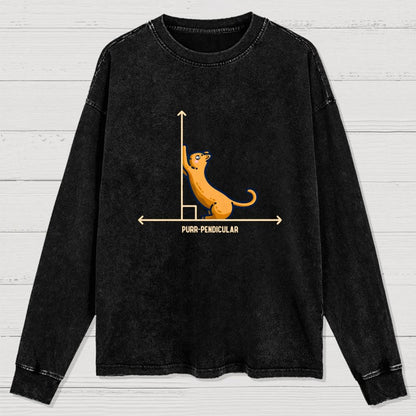 Purr-Pendicular Cute Maths Cat Premium Washed Long Sleeve Tee