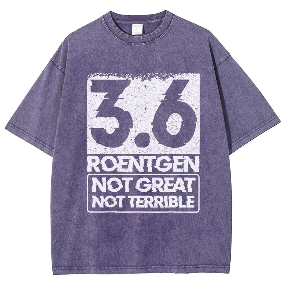 3.6 Roentgen Not Great Not Terrible Vintage Distressed T-shirt