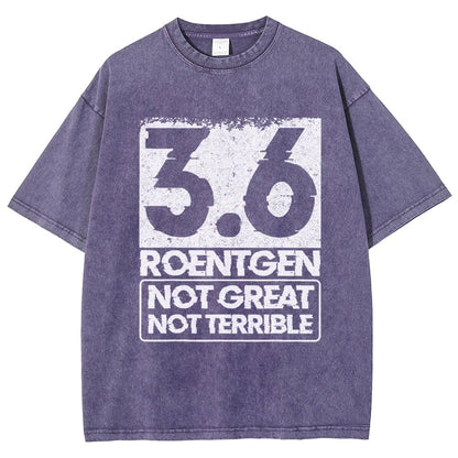 3.6 Roentgen Not Great Not Terrible Vintage Distressed T-shirt