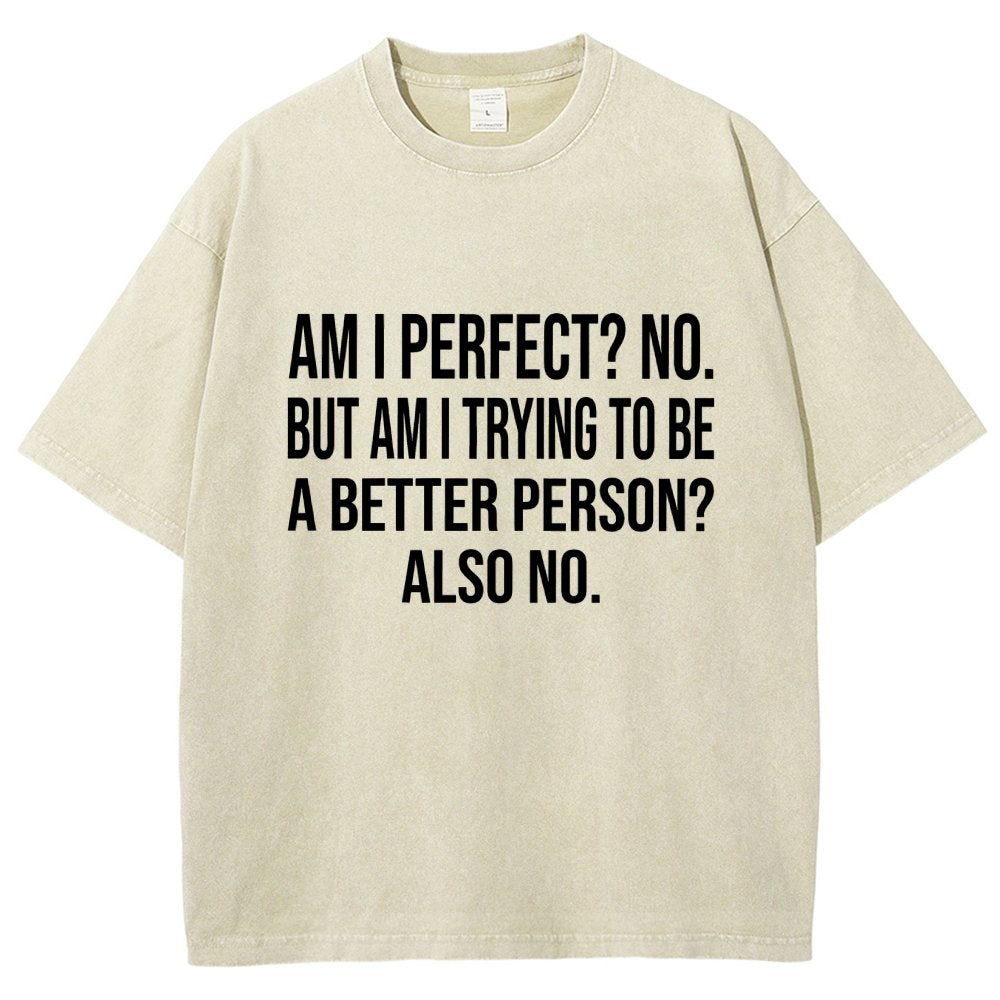 Am I Perfect No But Am I Trying To Be A Better Person Also No Vintage Distressed T-shirt