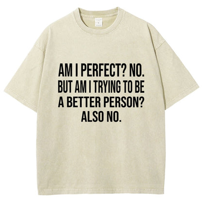 Am I Perfect No But Am I Trying To Be A Better Person Also No Vintage Distressed T-shirt