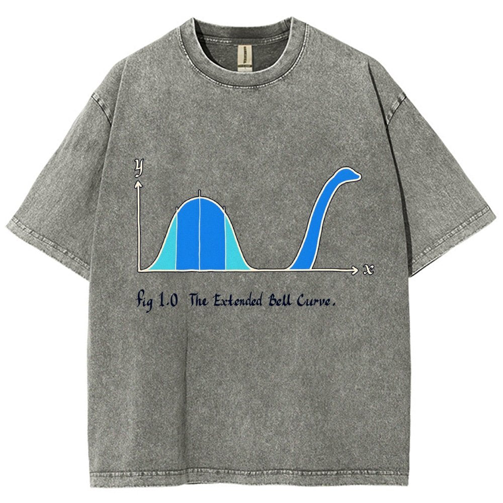The Extended Bell Curve Vintage Distressed T-shirt
