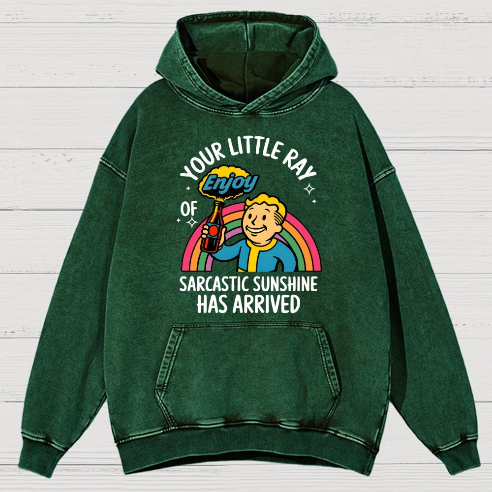 Your Little Ray Of Sarcastic Sunshine Has Arrived Vintage Distressed Hoodie