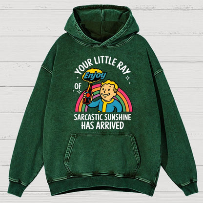 Your Little Ray Of Sarcastic Sunshine Has Arrived Vintage Distressed Hoodie