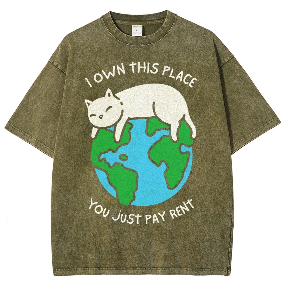 I Own This Place Vintage Distressed T-shirt