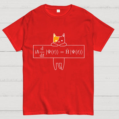 Schrödinger equation Geeky T-Shirt