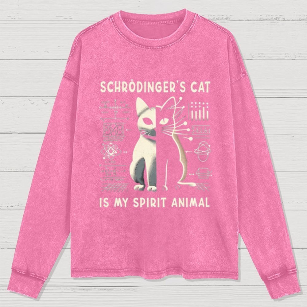 Schrodinger's Сat Science Washed Long Sleeve Tee