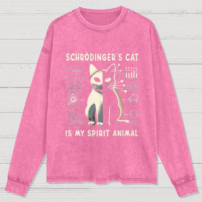 Schrodinger's Сat Science Washed Long Sleeve Tee