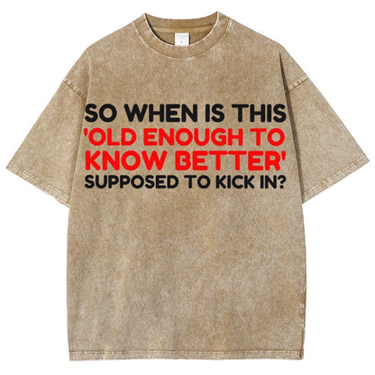 Old Enough To Know Better Vintage Distressed T-shirt