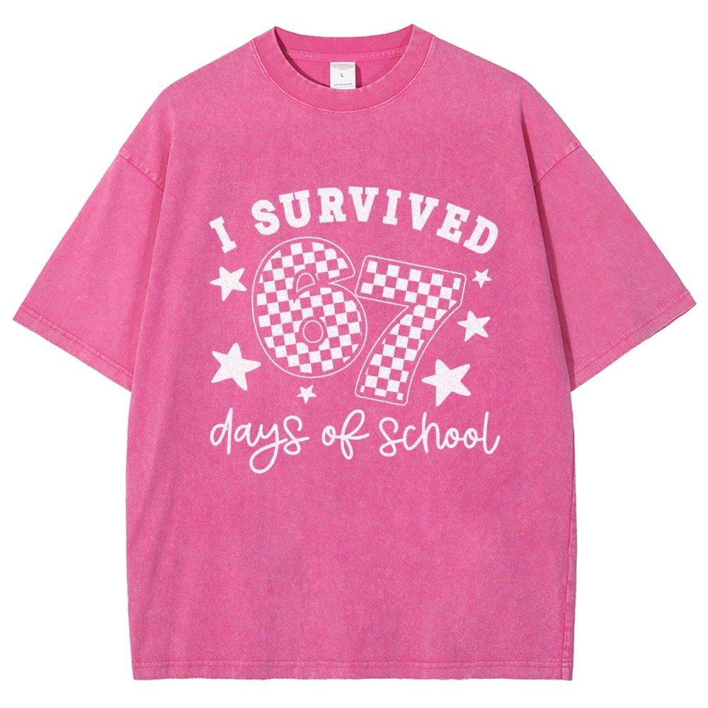 I Survived 67 Days of School Vintage Distressed T-shirt