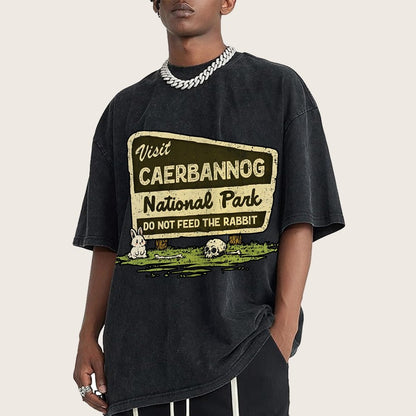 Mystic Valley National Park Vintage Distressed T-shirt