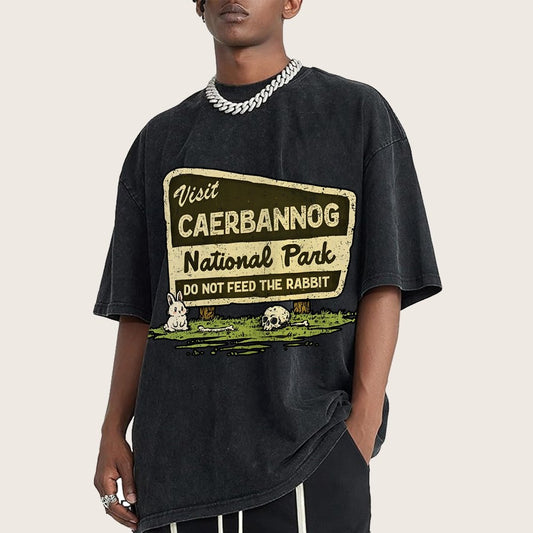 Mystic Valley National Park Vintage Distressed T-shirt