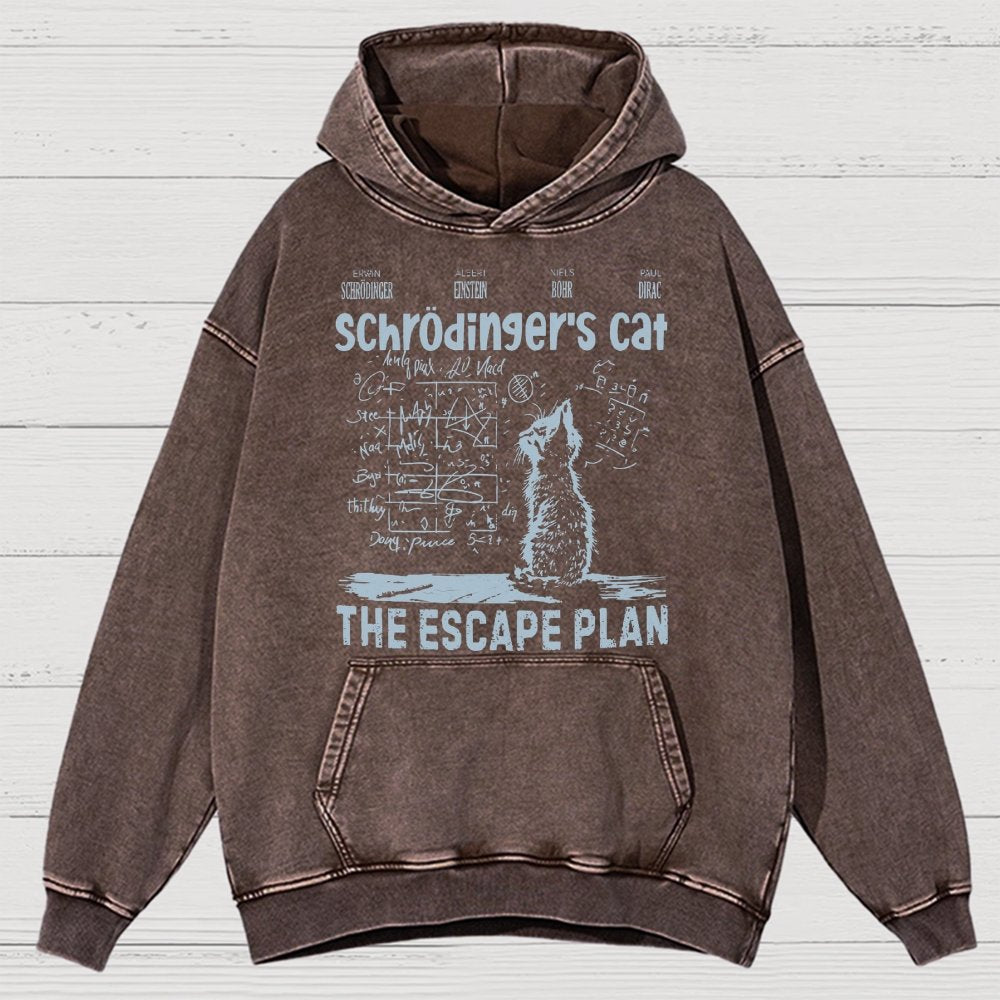 Schrodinger's Cat Escape Plan Interesting Physics Science Vintage Distressed Hoodie