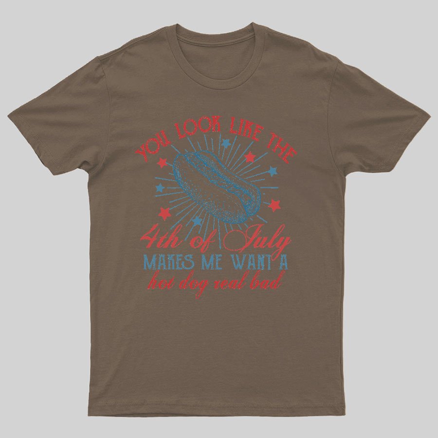 You Look Like the 4th of July Geeky T-Shirt